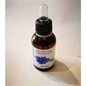 LAVENDER -LAVANDULA OFFICINALIS